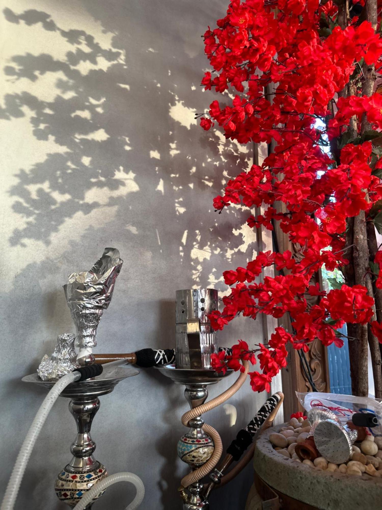 Modern 1-Bedroom Apartment In Zamalek Visits Allowed カイロ エクステリア 写真