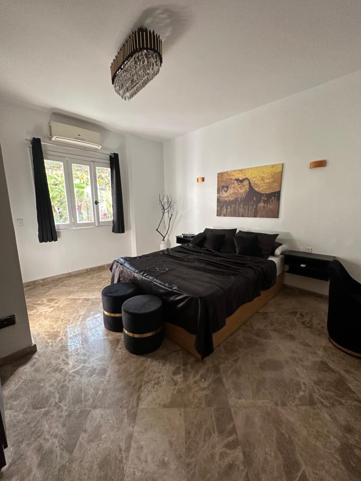 Modern 1-Bedroom Apartment In Zamalek Visits Allowed カイロ エクステリア 写真