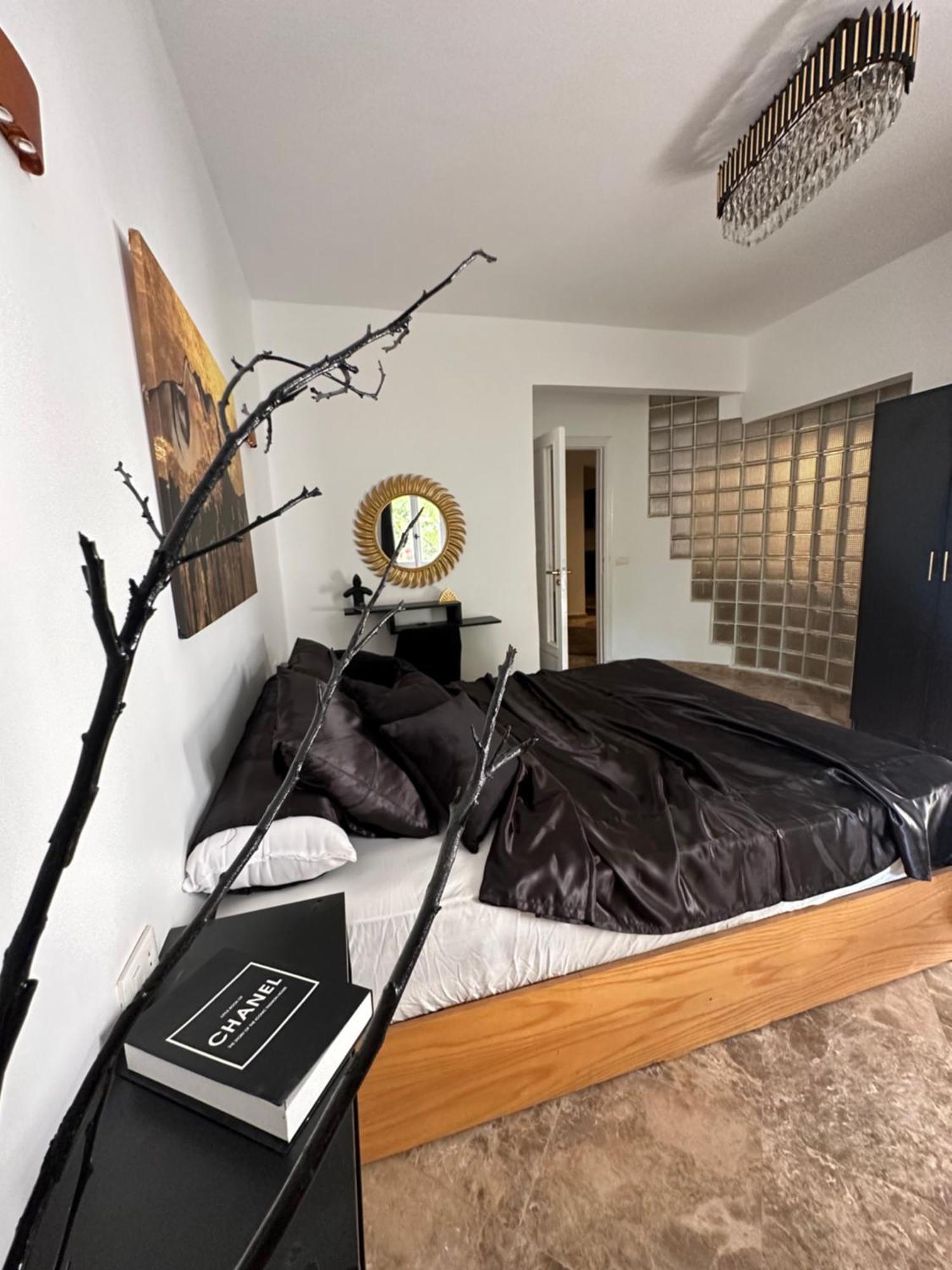 Modern 1-Bedroom Apartment In Zamalek Visits Allowed カイロ エクステリア 写真