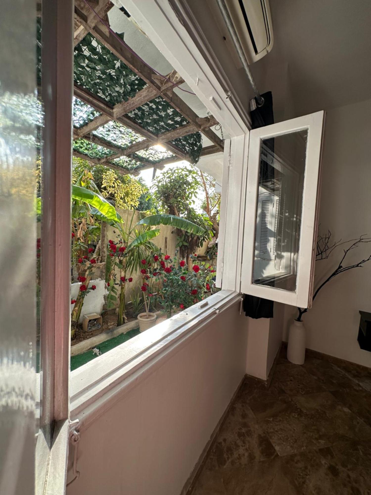 Modern 1-Bedroom Apartment In Zamalek Visits Allowed カイロ エクステリア 写真