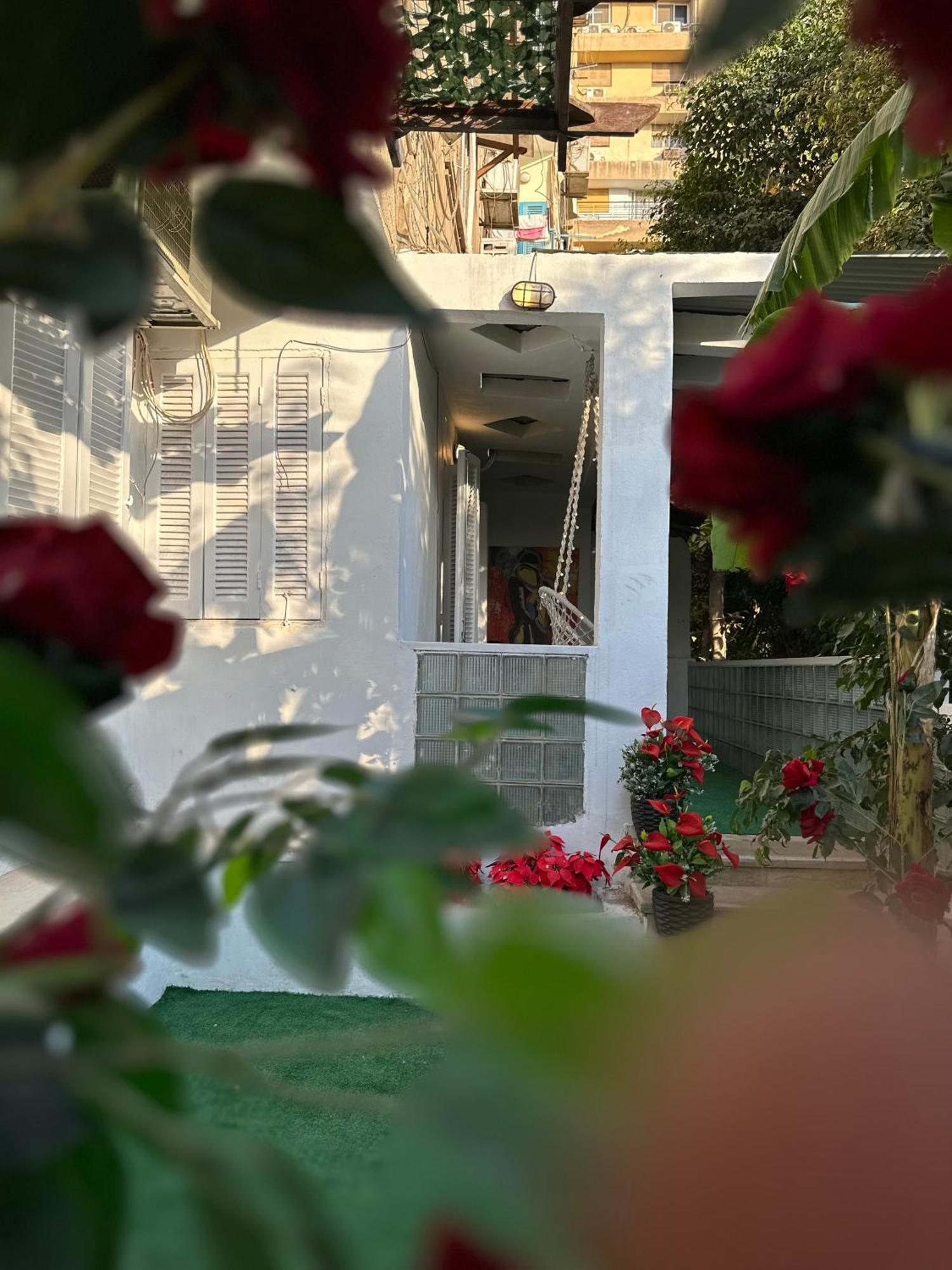 Modern 1-Bedroom Apartment In Zamalek Visits Allowed カイロ エクステリア 写真